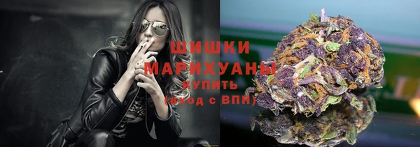 мдпв Краснослободск