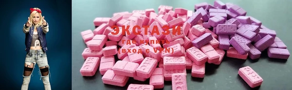 мдпв Краснослободск