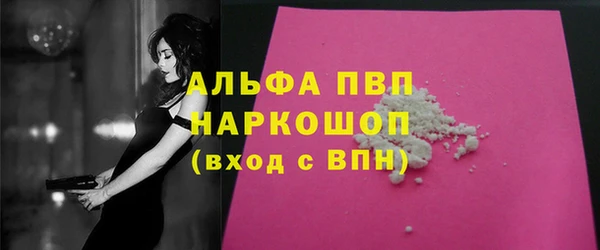 мдпв Краснослободск