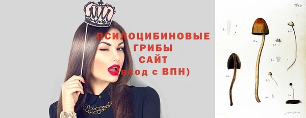 мдпв Краснослободск