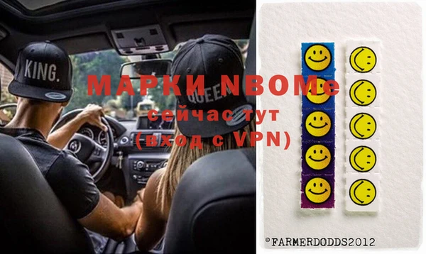 мдпв Краснослободск