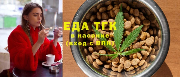 мдпв Краснослободск