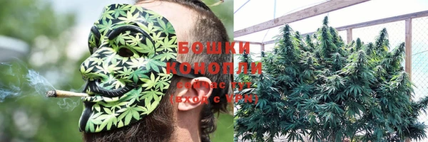 мдпв Краснослободск