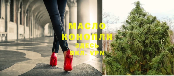 мдпв Краснослободск