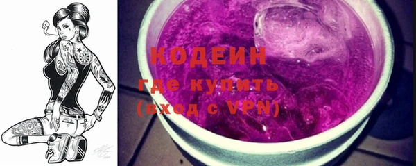 мдпв Краснослободск