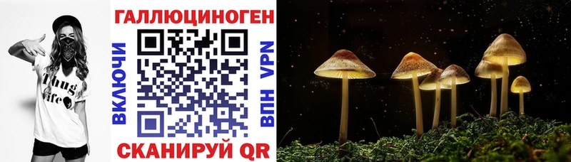 Купить закладки  Бахчисарай  Псилоцибиновые грибы мухоморы 